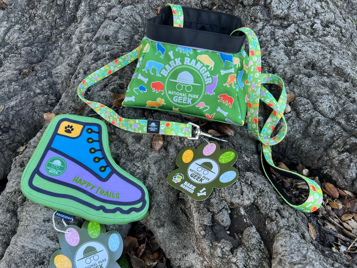 Bark Geek Bundle (Toy, Bowl + Leash) - Save 20%