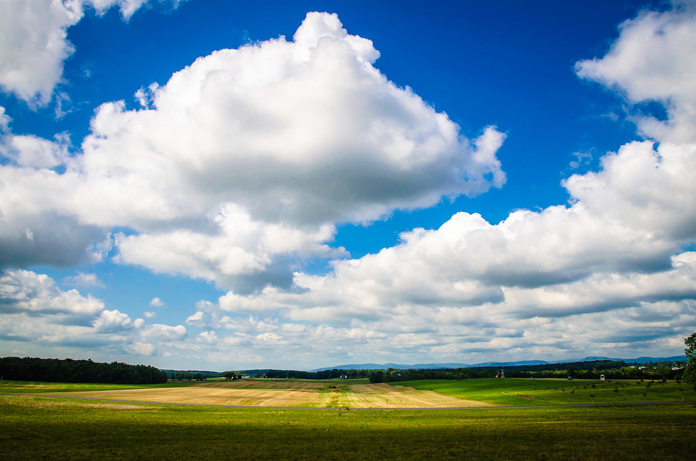 Geek of the Week - Sandra Ramos