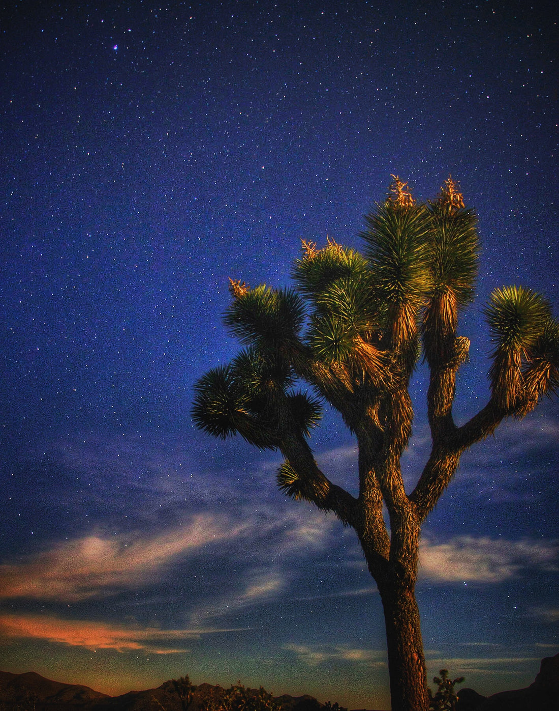 SUNSET & STARS MEET UP