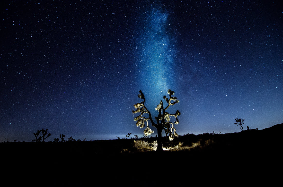 Sunset & Stars Meet Up - Joshua Tree NP