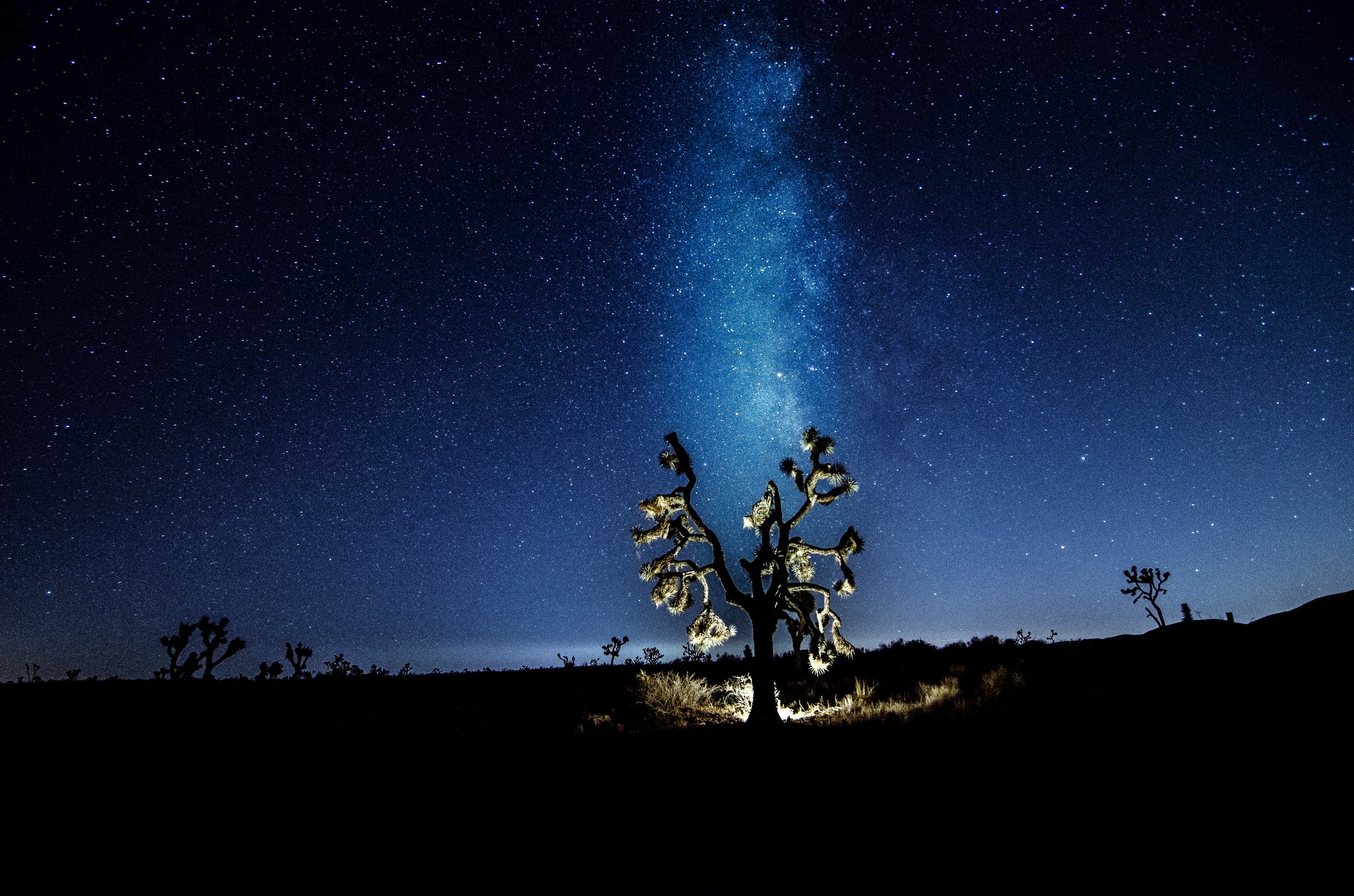 Sunset & Stars Meet Up - Joshua Tree NP