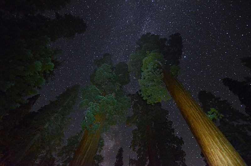 Find Your National Park After Dark