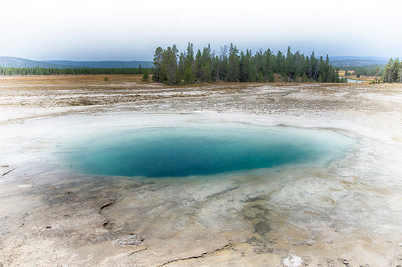 Giving Tuesday and All Year Long