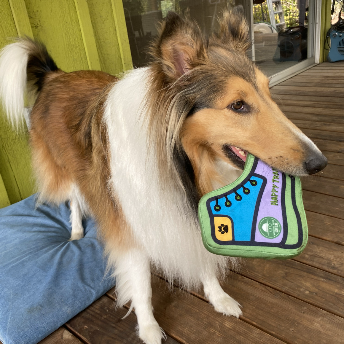 Bark Geek