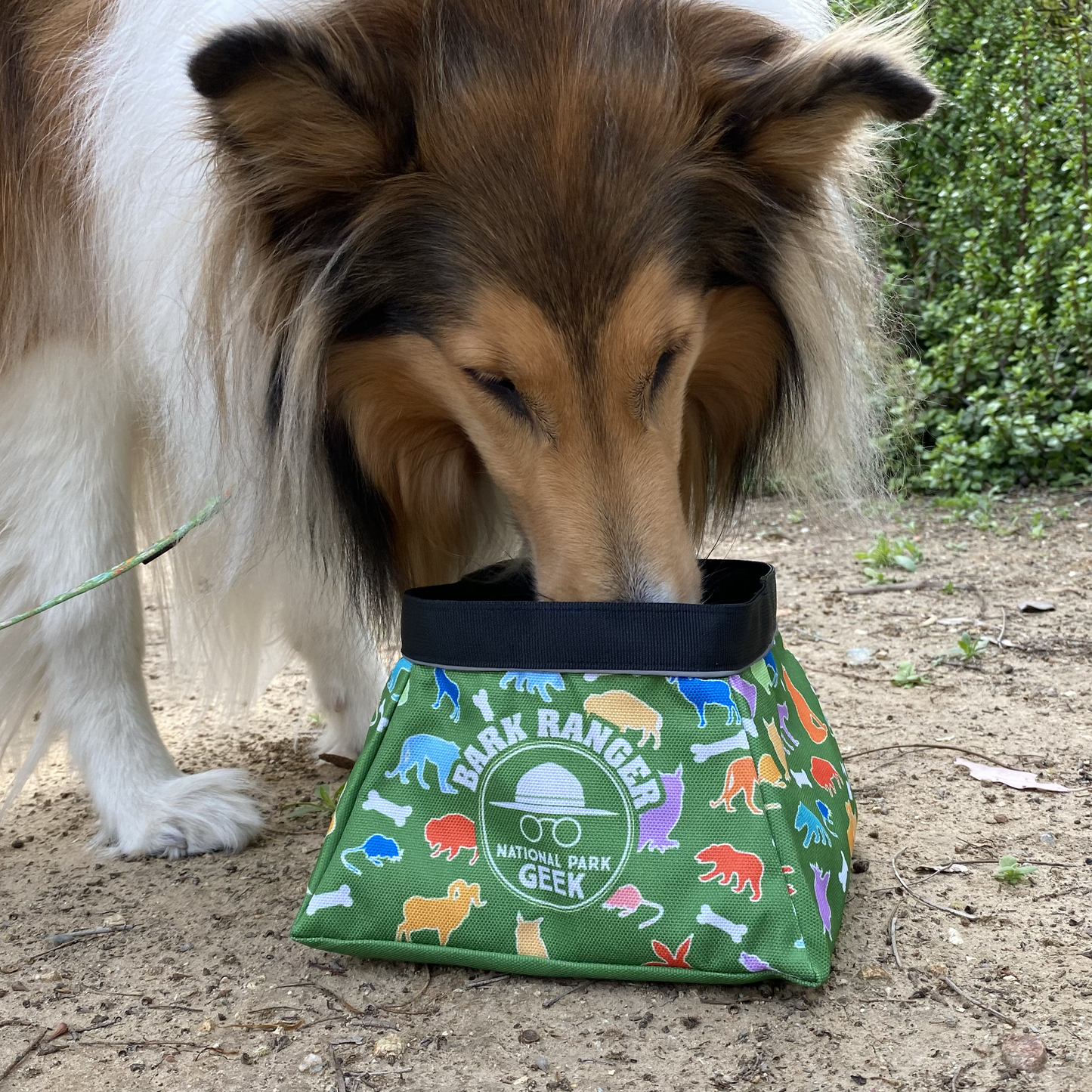 Bark Geek Collapsible Travel Bowl