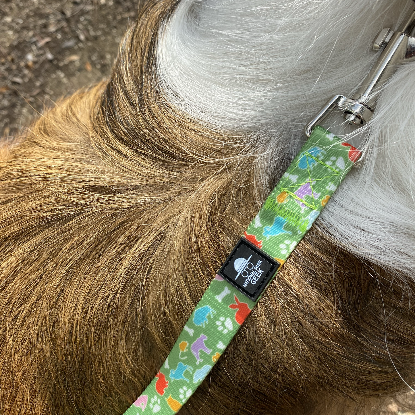 Bark Geek Dog Leash