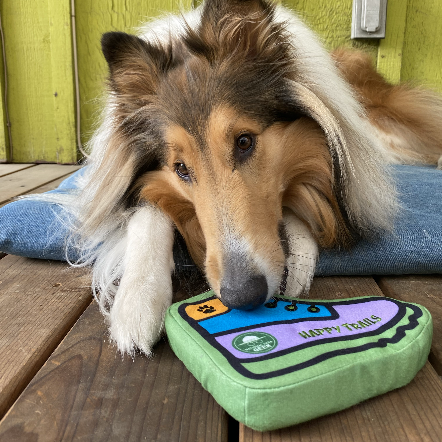 Bark Geek Hiking Boot Dog Toy