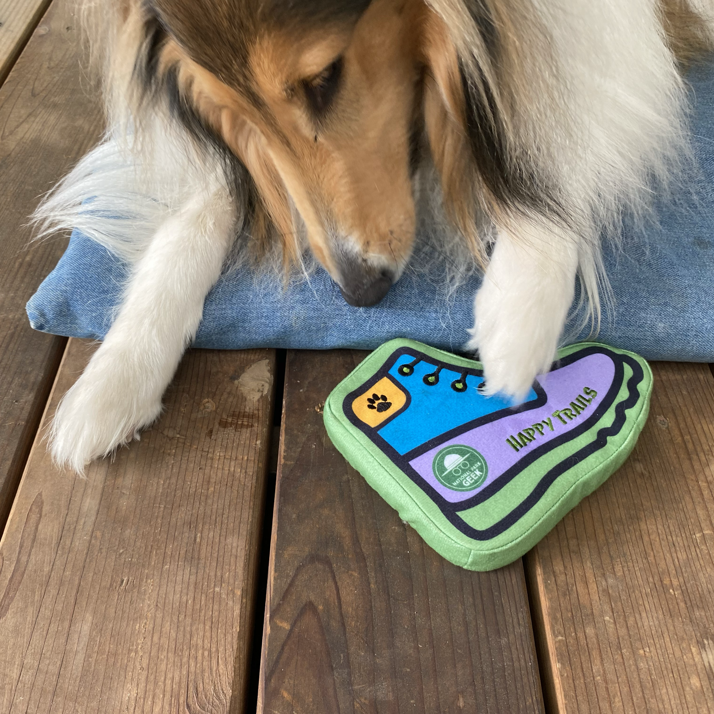 Bark Geek Hiking Boot Dog Toy