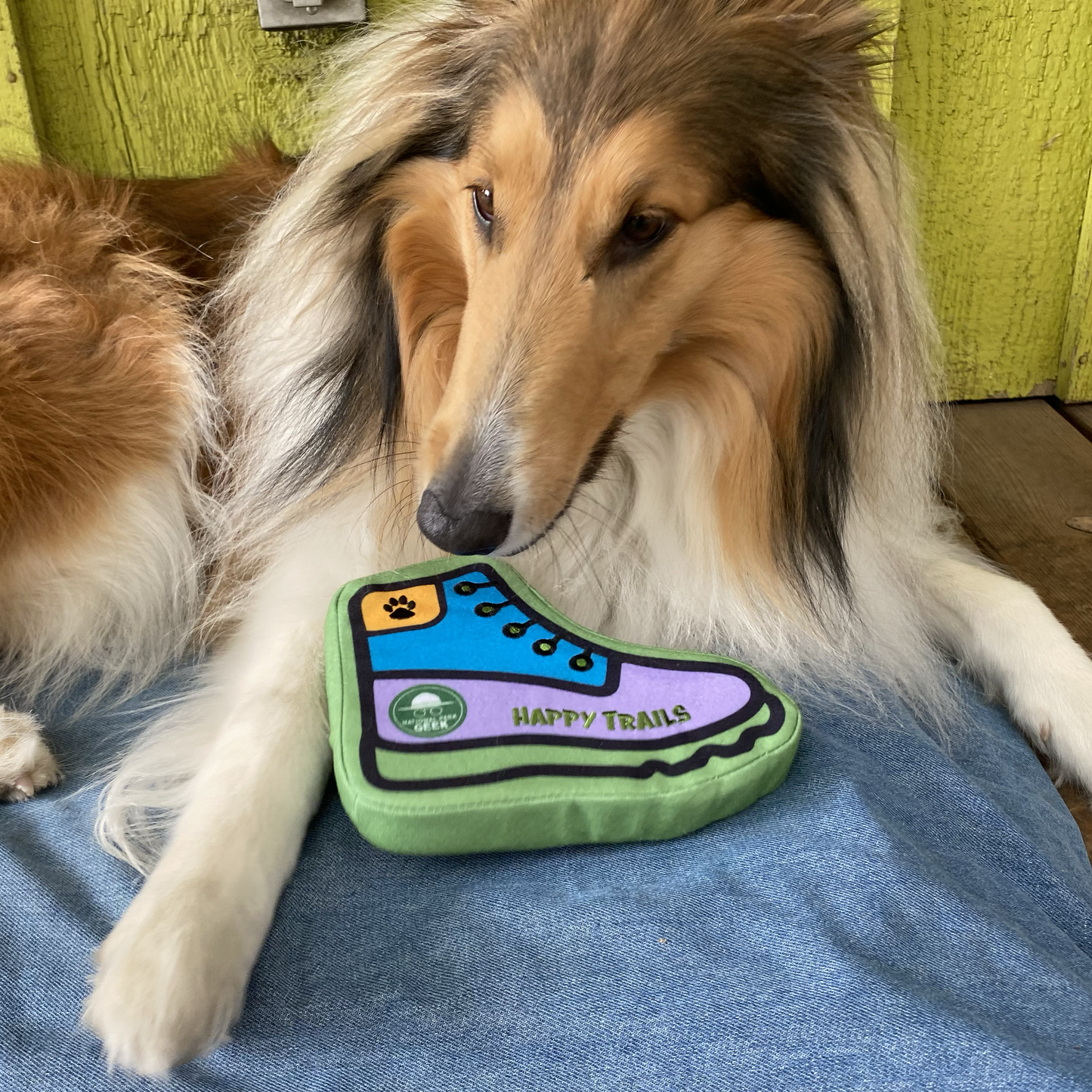 Bark Geek Hiking Boot Dog Toy