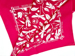 Bandana Hot Pink (includes US shipping via USPS only)
