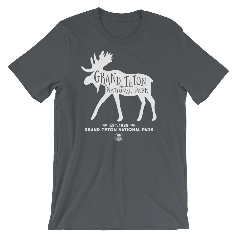 Grand Teton National Park Geek T-Shirt