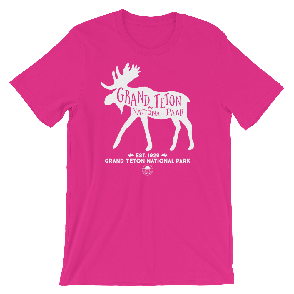 Grand Teton National Park Geek T-Shirt