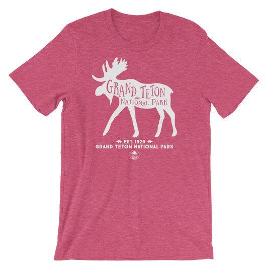 Grand Teton National Park Geek T-Shirt