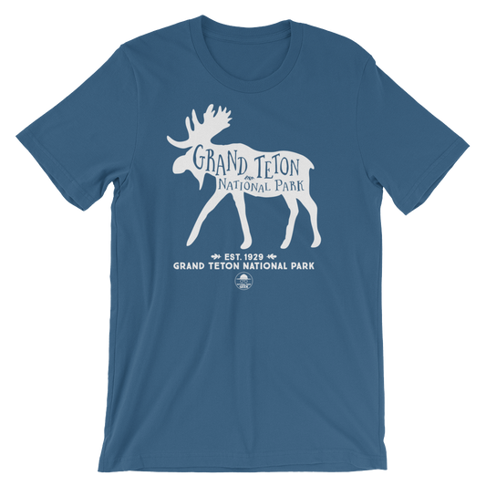Grand Teton National Park Geek T-Shirt