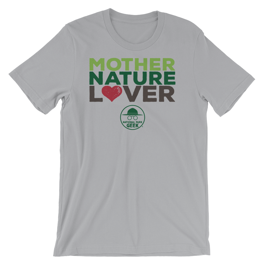 Nature Love Logo - Heart and Green Leaf Symbol Stock Vector - Illustration  of organic, leaf: 197822576